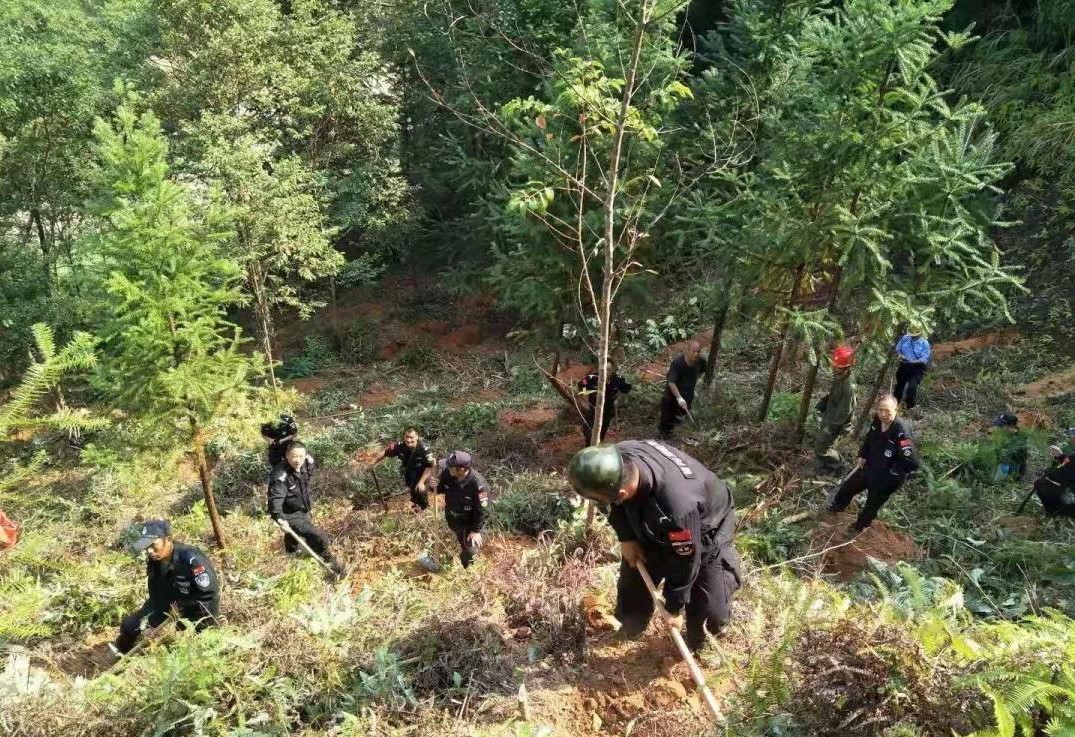 干好每一天|青山掛白我復(fù)綠，無(wú)私奉獻(xiàn)金森人——資源保護(hù)部義務(wù)突擊隊(duì)工作記實(shí)