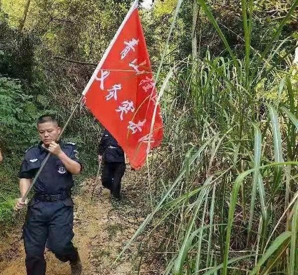 干好每一天|青山掛白我復(fù)綠，無(wú)私奉獻(xiàn)金森人——資源保護(hù)部義務(wù)突擊隊(duì)工作記實(shí)