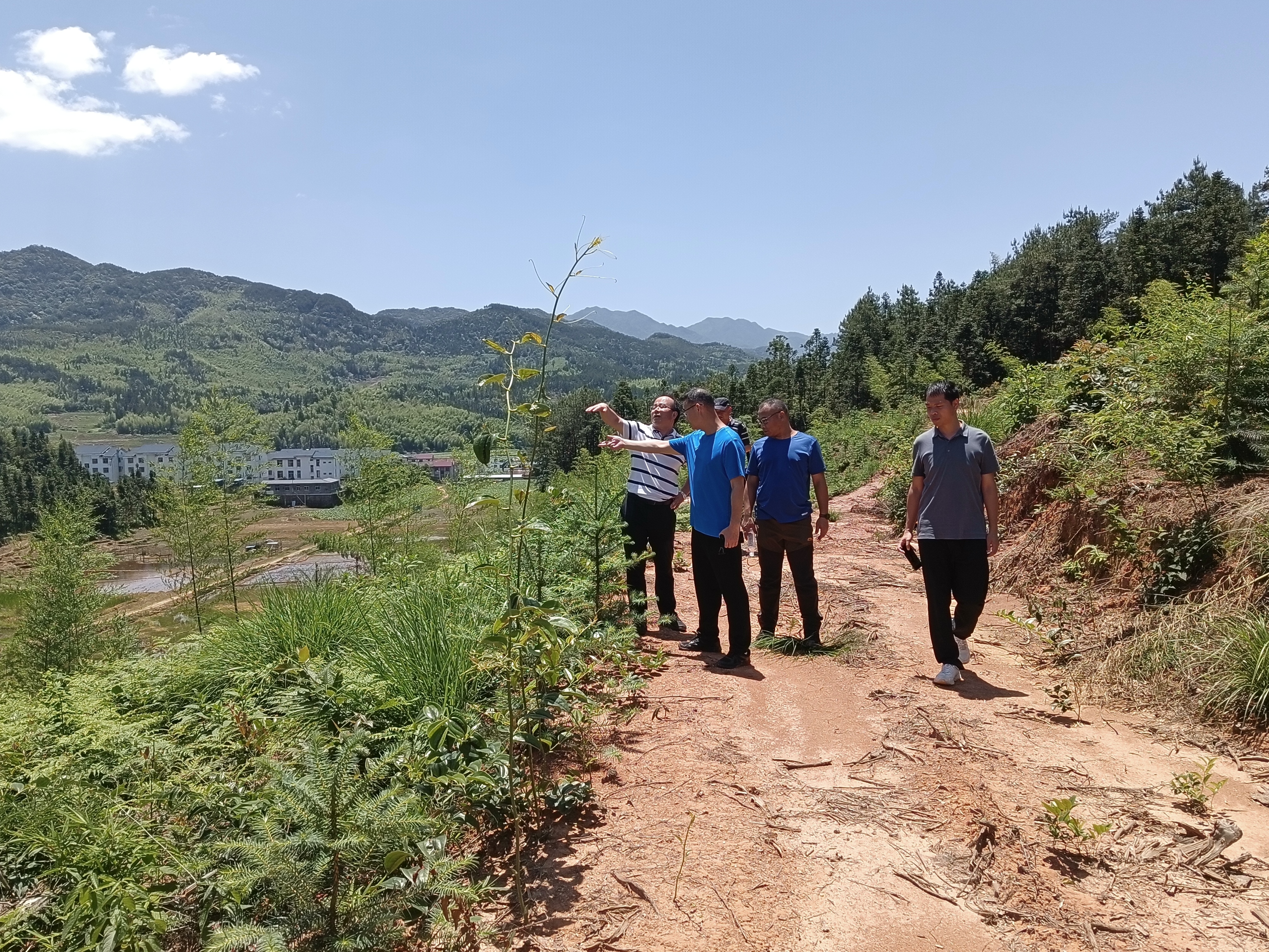 省林科院專家團(tuán)隊赴福建金森指導(dǎo)森林資源培育工作